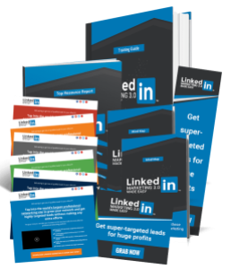 [DON’T MISS THIS GOLDEN OPPORTUNITY!] LinkedIn Marketing 3.0 Biz in a Box Monster PLR review : Boost Sales And Profits With These Proven And Tested LinkedIn Marketing Strategies
